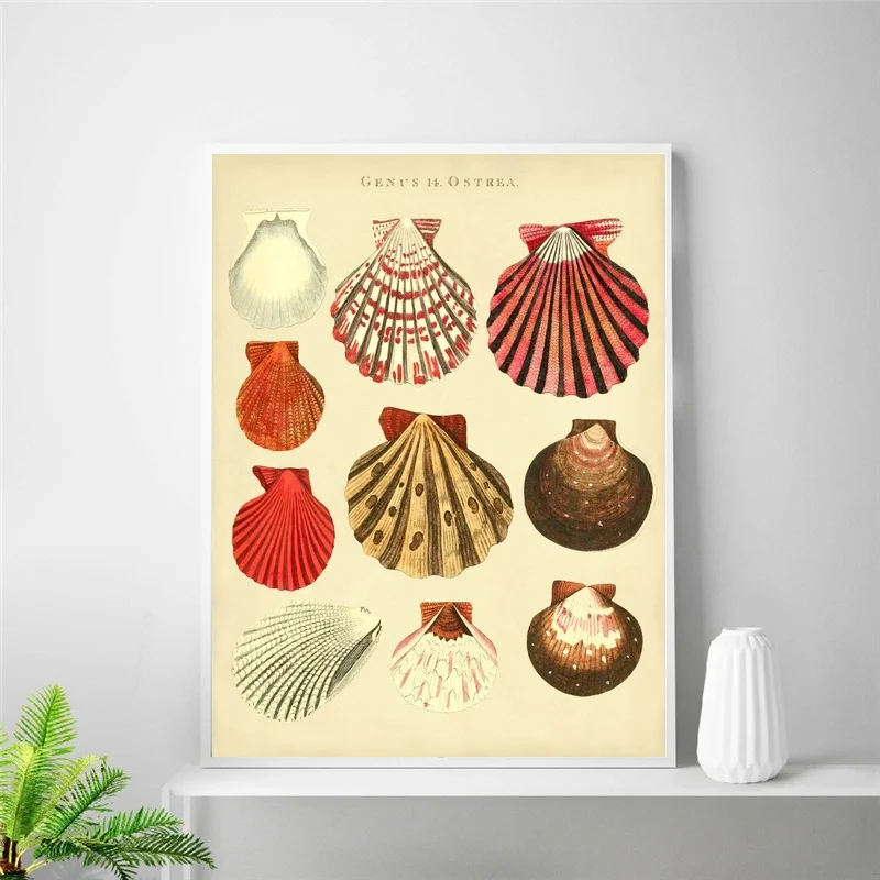 Винтажный Шелковый постер с морскими ракушками Haeckel домашний декор 24x32