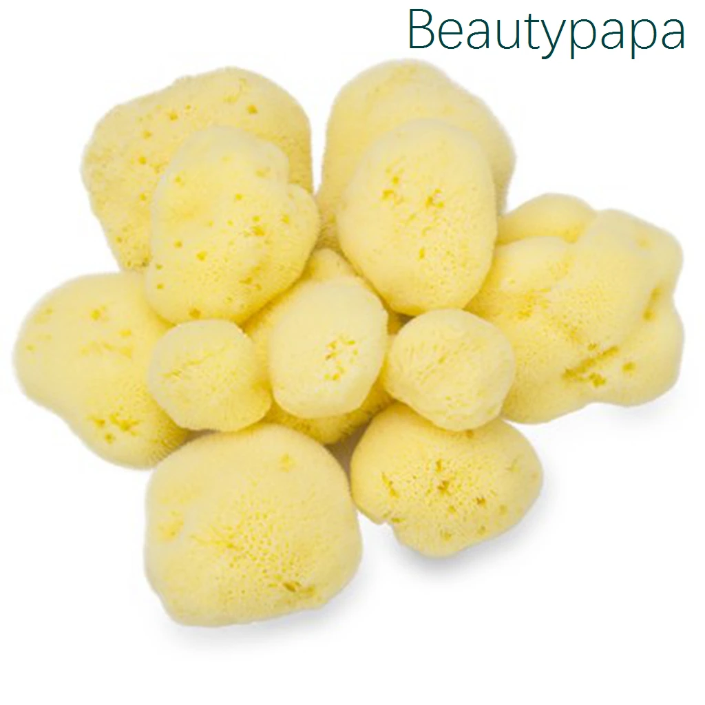 Licuadora de Belleza 6 шт./компл. натуральный греческий FINA шелк морская губка 1 5 '' 2 0''|