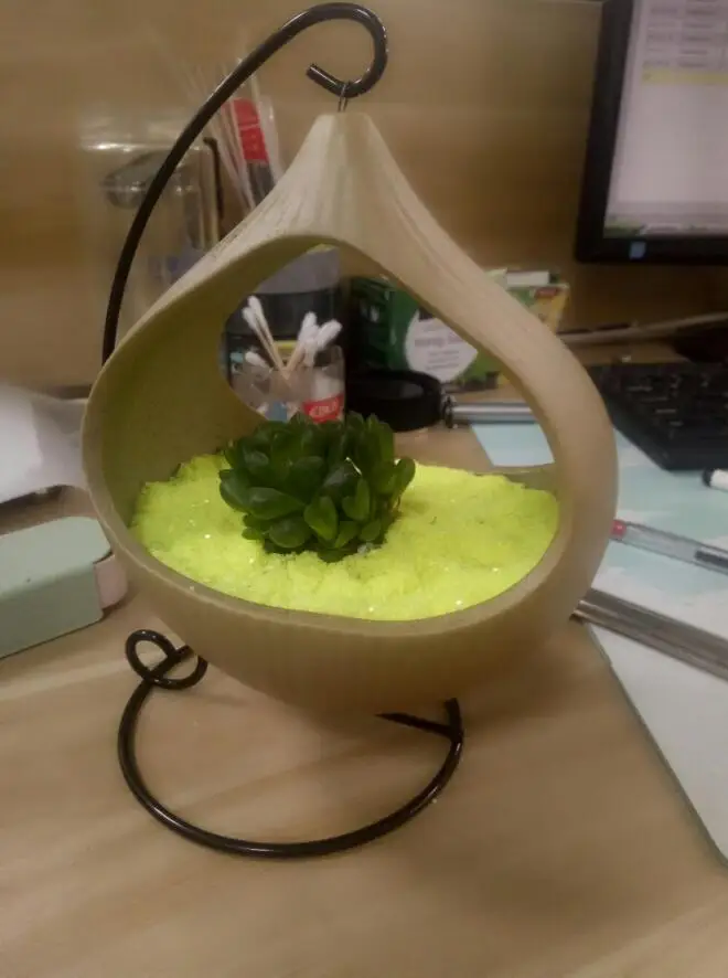 Mini sky garden hanging basket chlorophytum small fleshy meat plants flower pot wholesale ceramic platter | Дом и сад