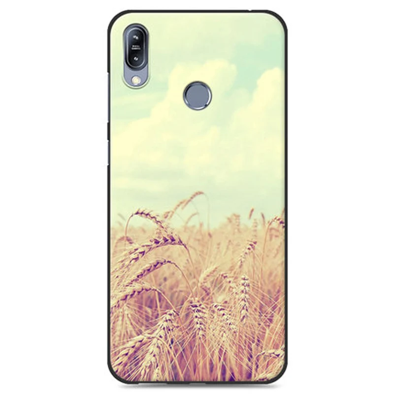 Чехол для ASUS ZenFone Max M2 M 2 ZB633KL ZB632KL чехол с мультяшным рисунком стильный крутой