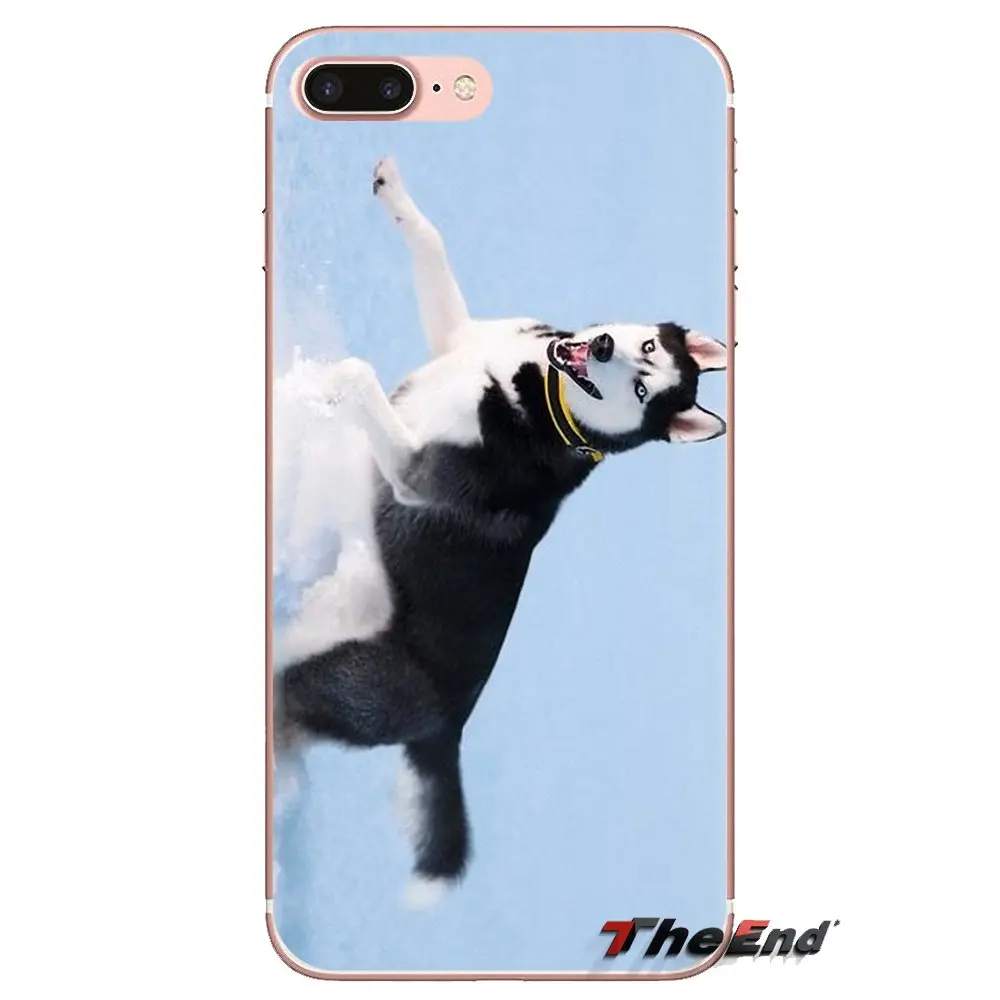 Soft Transparent Cases For Huawei Mate Honor 4C 5C 5X 6X 7 7A 7C 8 9 10 8C 8X 20 Lite Pro Siberian Husky Dog puppies Art Pattern |