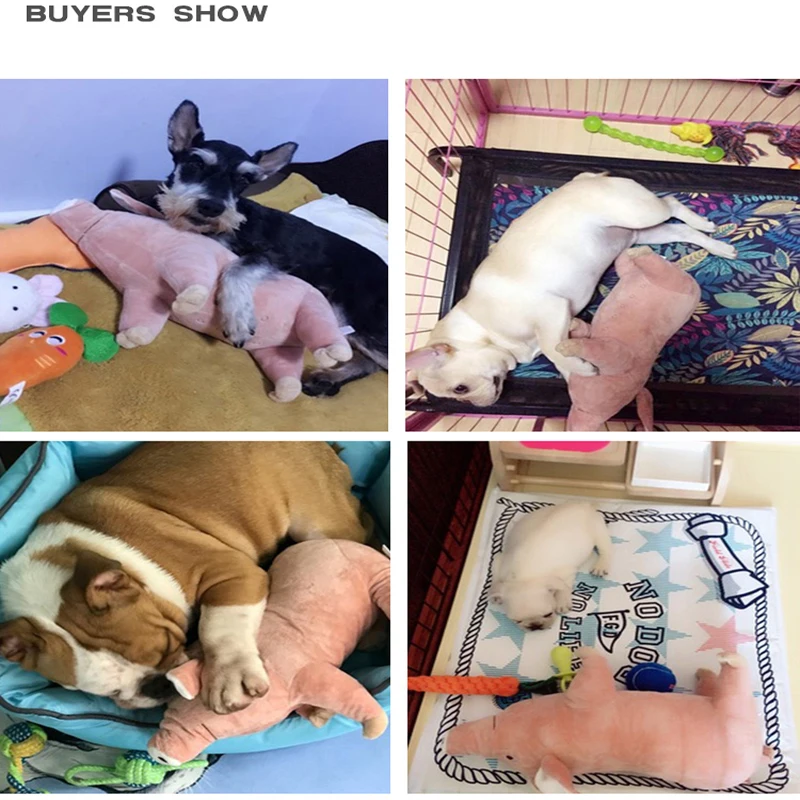 Милый поросенок плюшевые игрушки собаки подушку спутник игрушка кошка собака