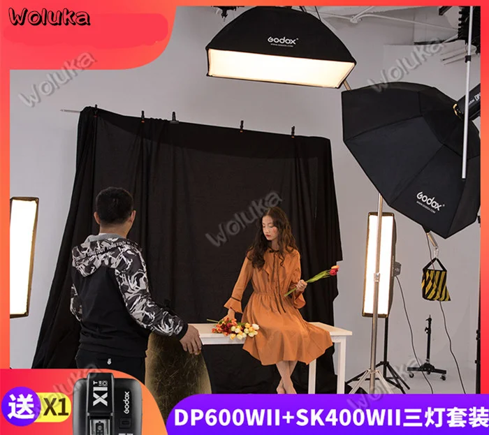 Набор для студисветильник вспышки Godox DP600 II 600Ws + 2 x SK400II софтбокс подставка