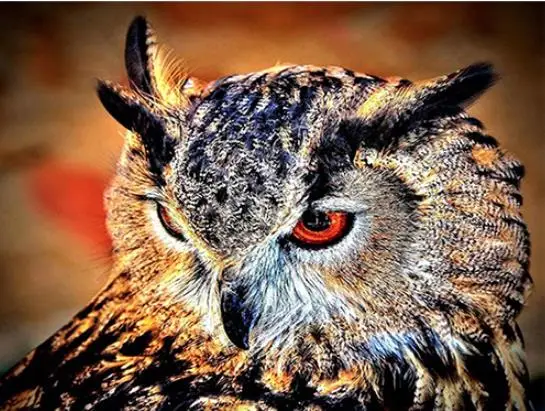 

5D Diamond Embroidery Animal owl Cross Stitch DIY Diamond Painting Full Diamond scenery rhinestones Home Decor gift