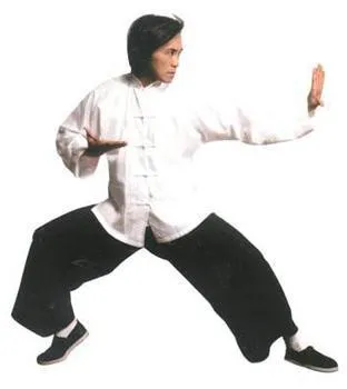 Рубашка tai chi традиционная китайская одежда блузка мужская для кунг фу