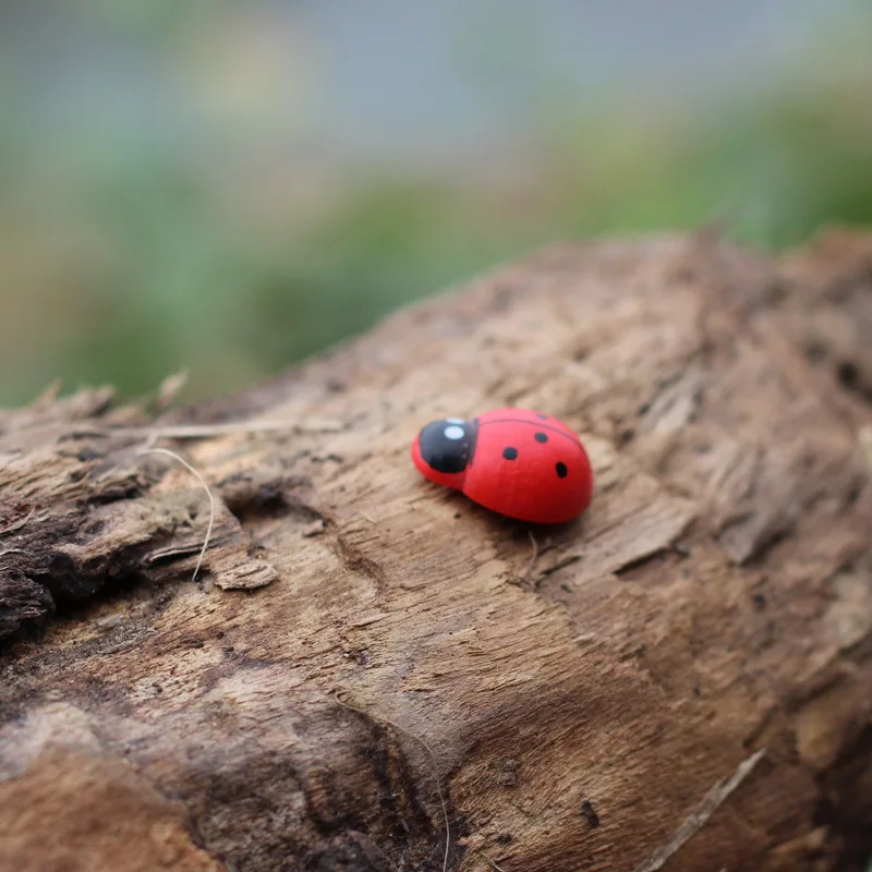 100 шт./Ландшафтные украшения мультяшная мини-леди жук сборка сделай сам предметы