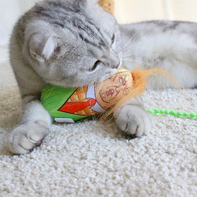 FILY Trump Head Maize Design Cat Toys Stuffed Plush Corn Catnip Pillow Toy | Дом и сад