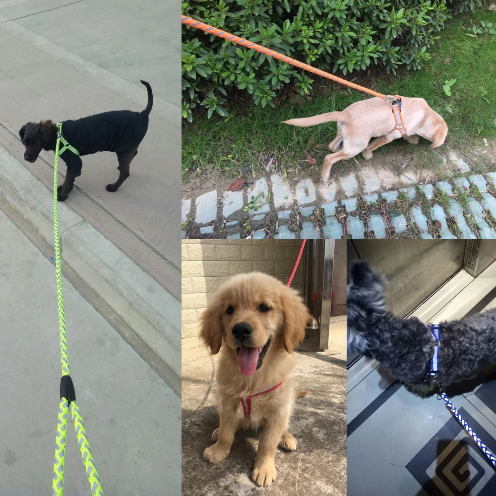 Комплект шлейки и поводка для маленьких собак нейлоновая Регулируемая