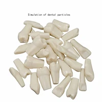 32 pcs bag high quality resin simulation tooth grain dental model for dentist exam preparation teaching free shipping