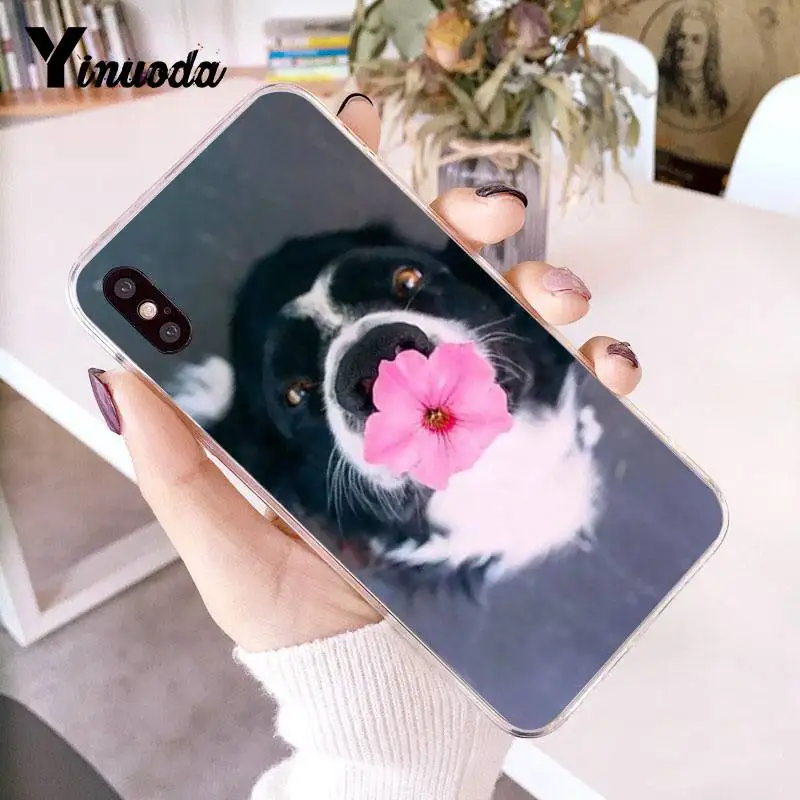 Прозрачный чехол Yinuoda для iPhone 7 6 X 8 6S Plus 5 SE XR XS XSMAX | Мобильные телефоны и аксессуары