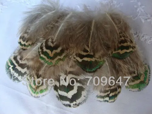 Бесплатная доставка! 100 шт./лот 4 7 см длина пестрые и Перья павлина|peacock feather