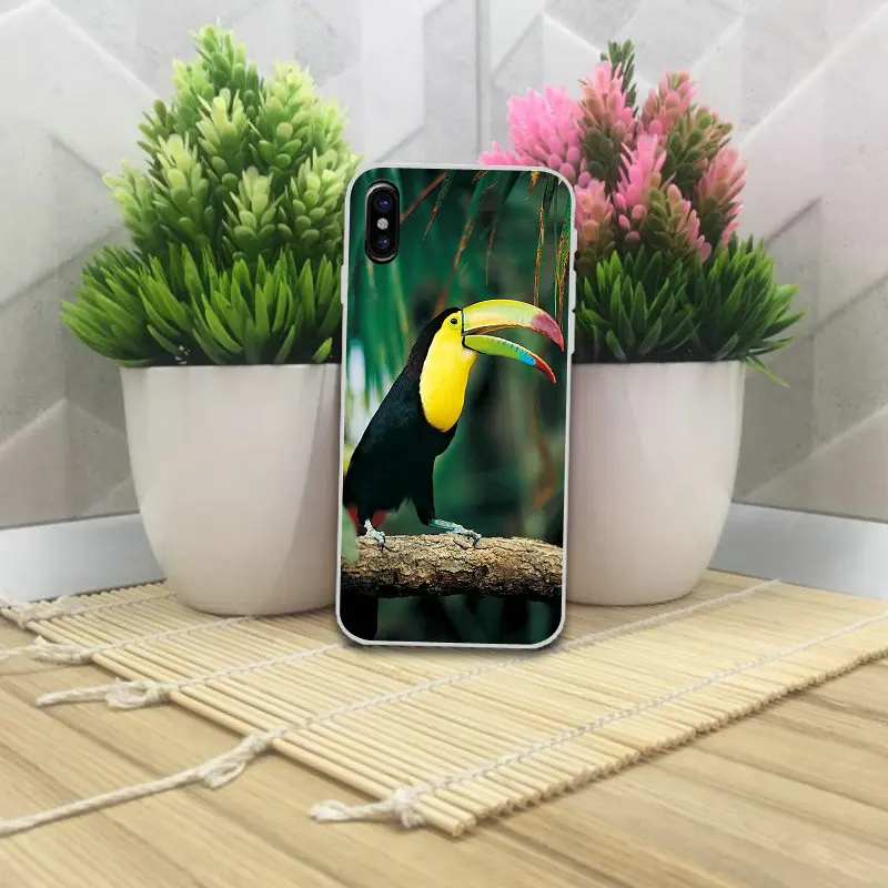 Мягкие ТПУ Силиконовые телефонные чехлы с рисунком птиц для iPhone 4 мобильный