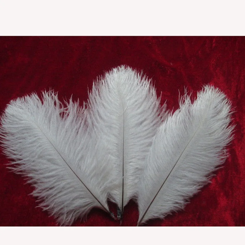 Оптовая продажа натуральный жесткий стержень 20 штук пакет Белые страусиные