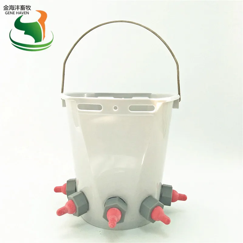 8 л ведро для кормления молока ягненка может варьироваться от 1 до 5 сосок