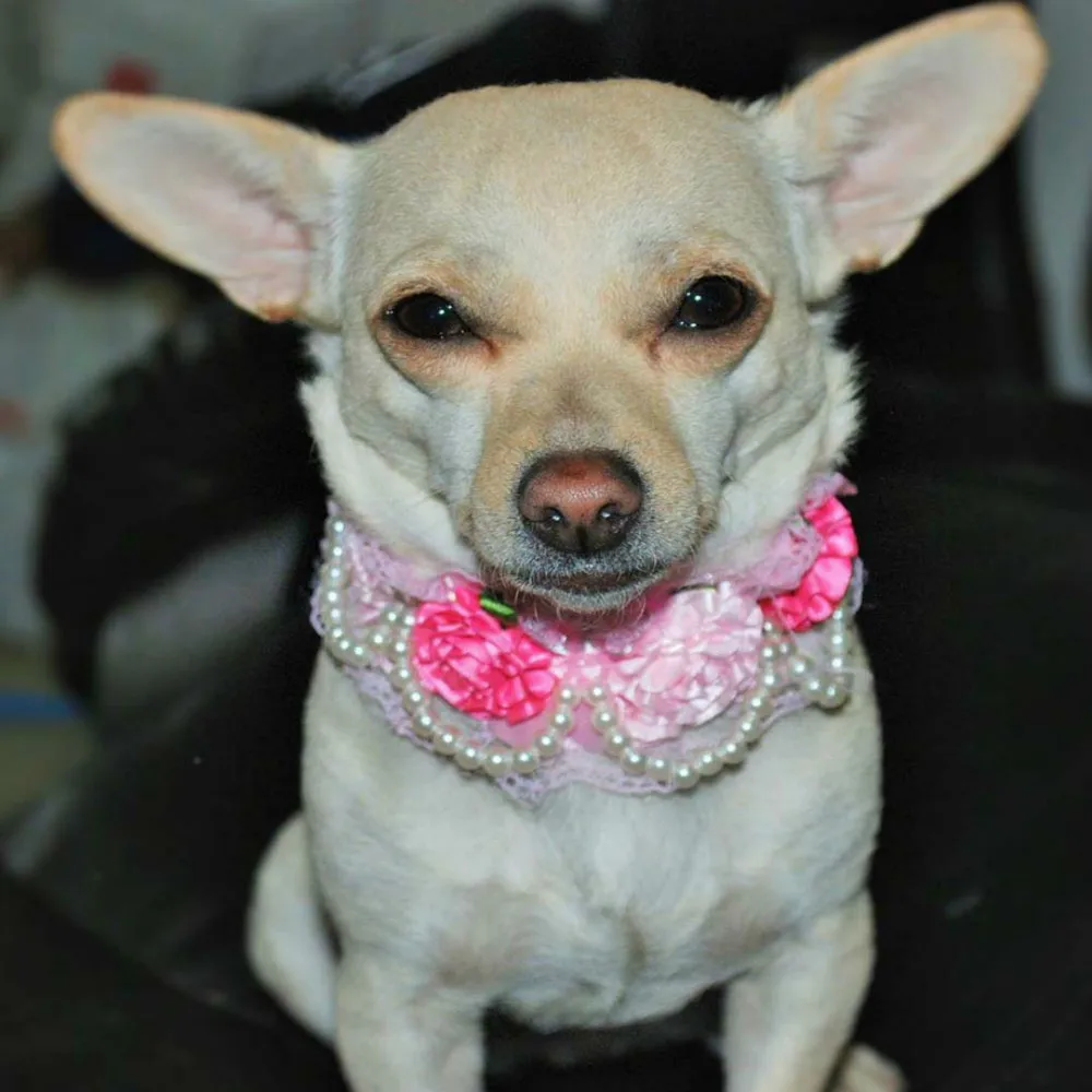 Цветочный ошейник для собак жемчужное ожерелье из мягкой искусственной кожи