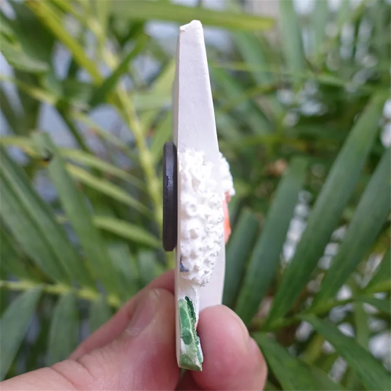 New Zealand Fridge Magnet Flag / Animal Sheep Tourist Souvenirs | Дом и сад