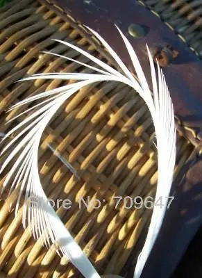 

Feathers for crafts!200pcs/Lot white feathers, LOOSE BRIGHT WHITE STRIPPED GOOSE BIOTS for Fly Tying 6-8" 15-20cm