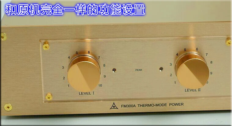 Готовый классический усилитель мощности аудио HiFi стереоусилитель Вдохновленный FM акустикой FM300A