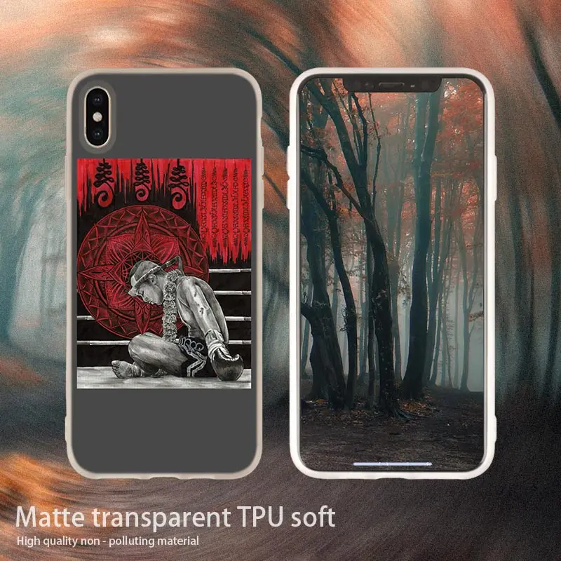 10 soft case Грант Муай Тай бой Бокс Мягкий силиконовый чехол для телефона чехол для iPhone 11 Pro 7 8 Plus XR XS Max 4 5 5S SE 6 6s Funda Etui чехол s - Цвет: 10 soft case
