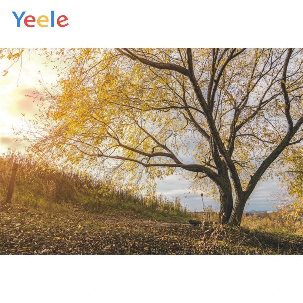 

Yeele Autumn Landscape Photocall Yellow Leaves Decor Photography Backdrop Personalized Photographic Backgrounds For Photo Studio