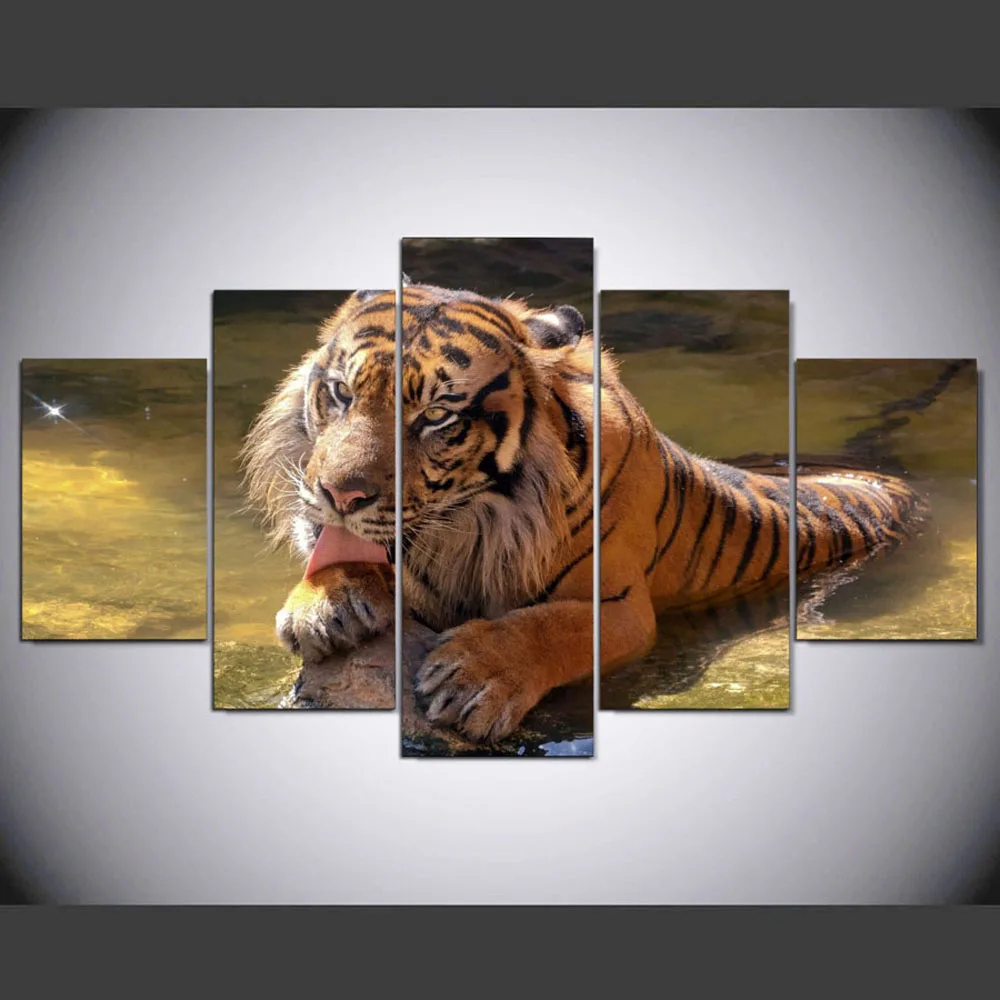 HD печать 5 шт. sumatran Тигр настенные картины для гостиной современные плакаты и