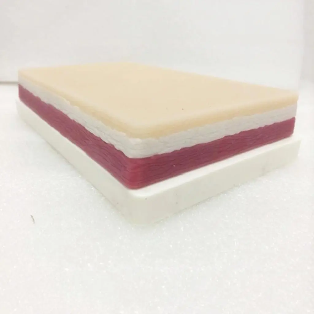 Моделирование кожи человека модель хирургии швейная Акупунктура упражнения