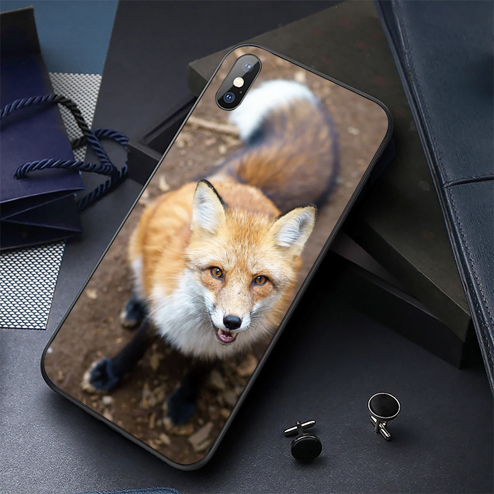 Black Soft TPU Phone Case for iPhone 8 x 6 7 5s se xs max Cases |