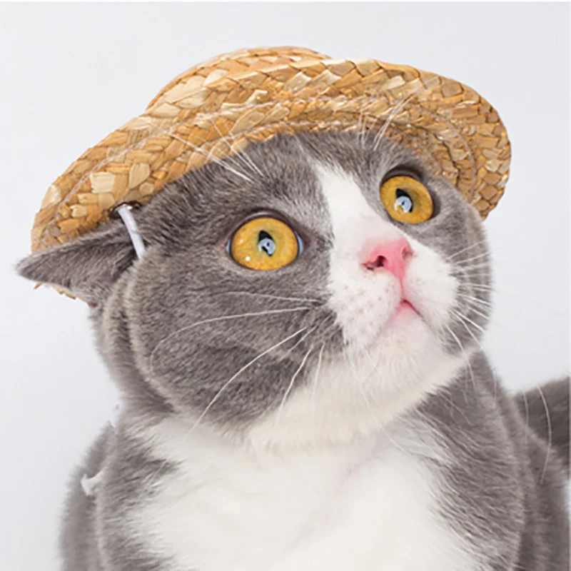 Летняя Гавайская стильная стандартная маленькая соломенная шляпа для домашних