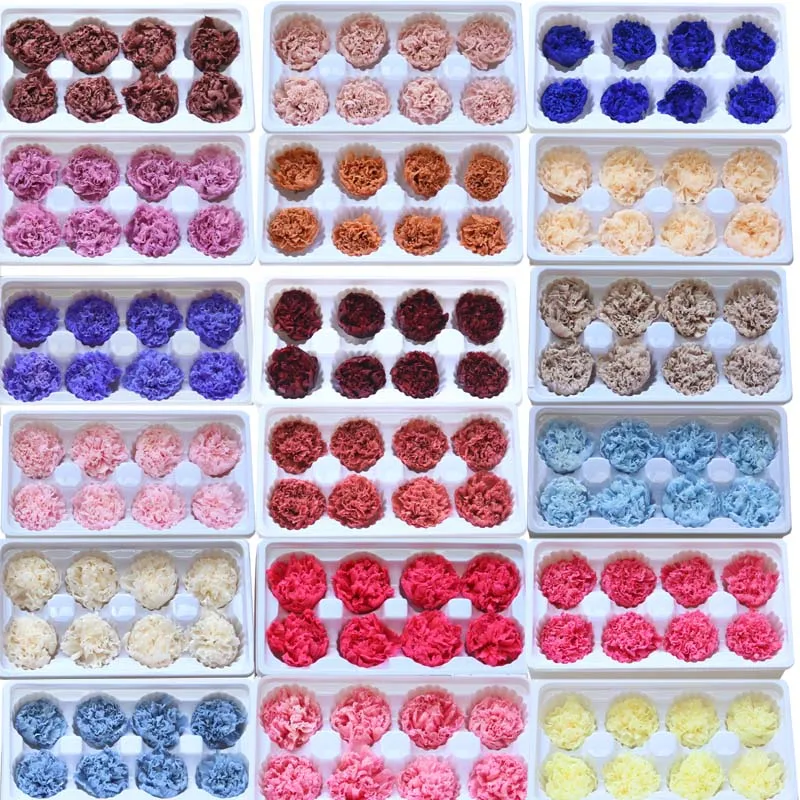 8 шт. длинный срок службы гвоздика сухой Натуральный Свежий консервированный