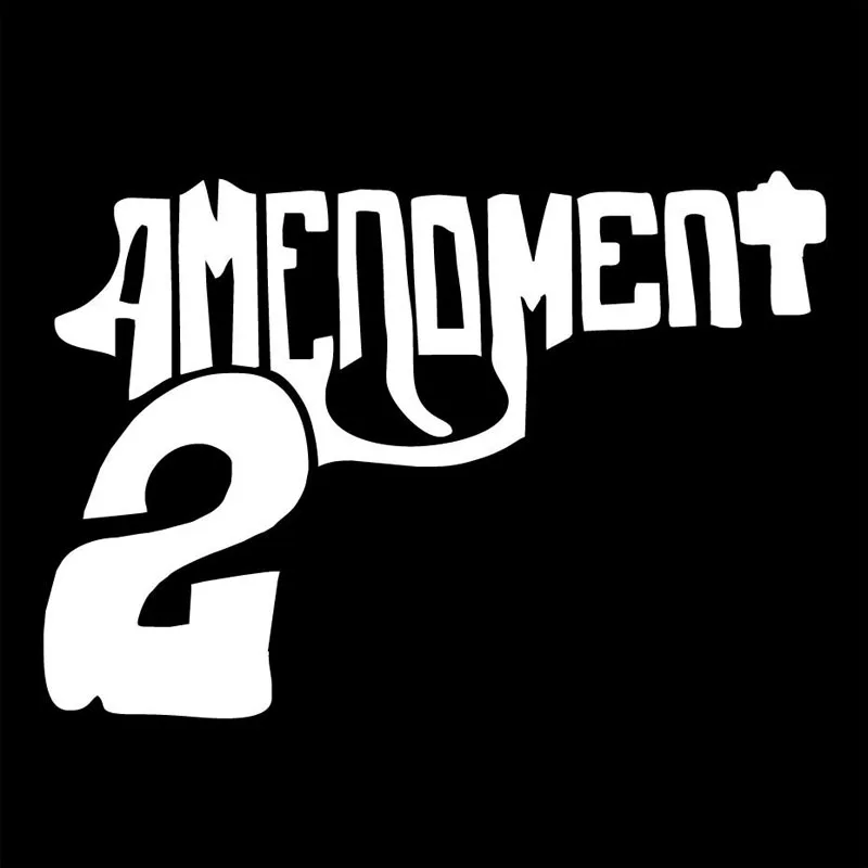 

15X10.4CM 2nd AMENDMENT Gun Vinyl Decals Motorcycle Car-styling Car Sticker S8-0023