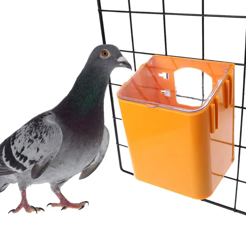 

Pigeon Feeder Water Feeding Plastic Food Dispenser Pet Birds Parrot Container Supplies Dustptoof Bird Feeder