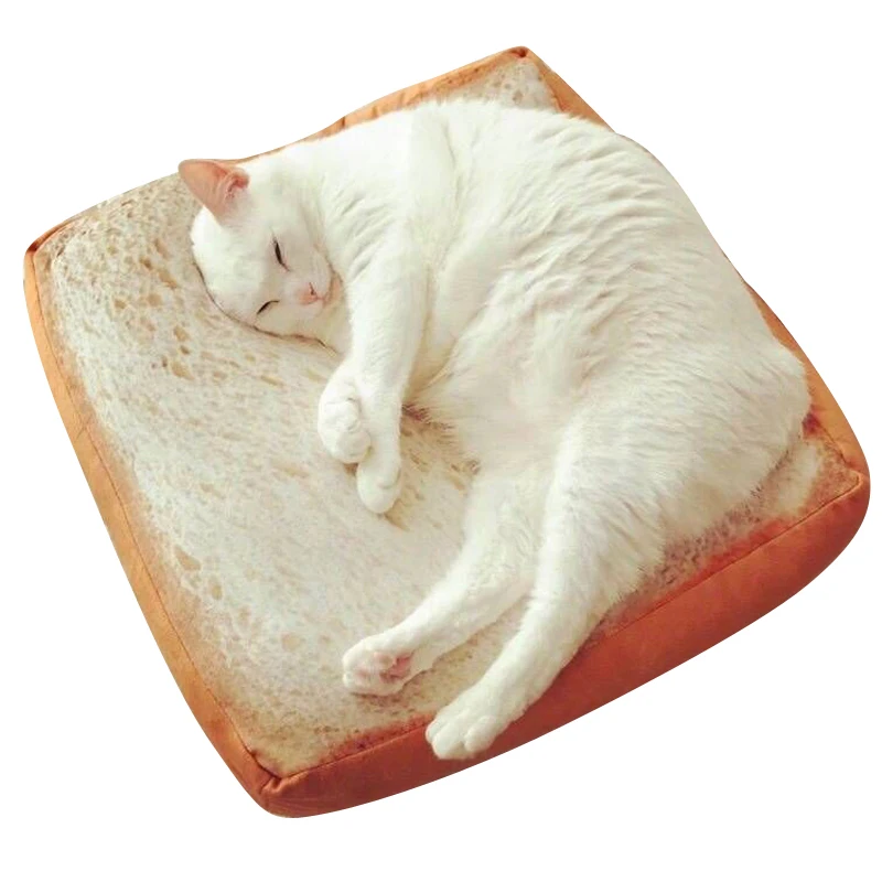 Microblogging with the paragraph cute real life toast bread slices cushions, cat special bread-type  cushion cartoon around