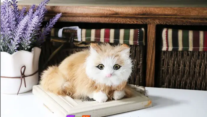 

Маленькая милая игрушка-кошка из полиэтилена и пуха, лежащая игрушка-кошка, подарок, около 18x9 см, 2354