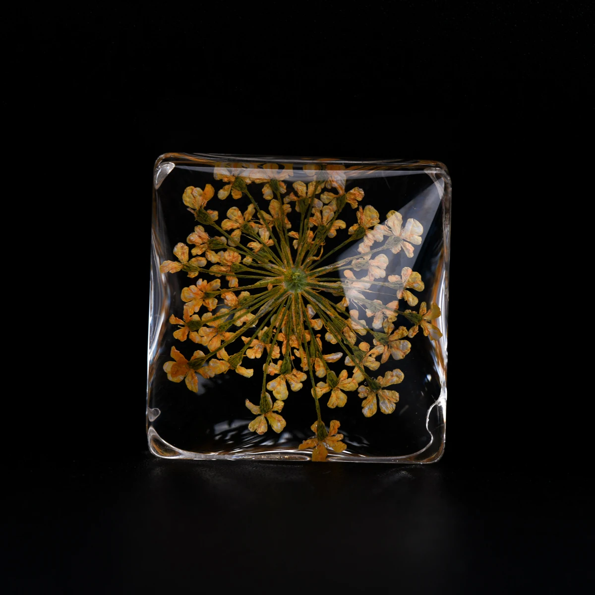 Высушенный цветок в стеклянной бусине 20 # без крючка бусины ручной работы и