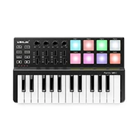 Высокое качество Worlde панда мини 25-ключ USB клавиатура и барабанные колодки MIDI Контроллер Портативный - Цвет: style2
