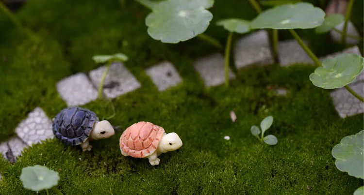 2 шт./лот Миниатюрная модель черепахи садовые миниатюры сделай сам домашние