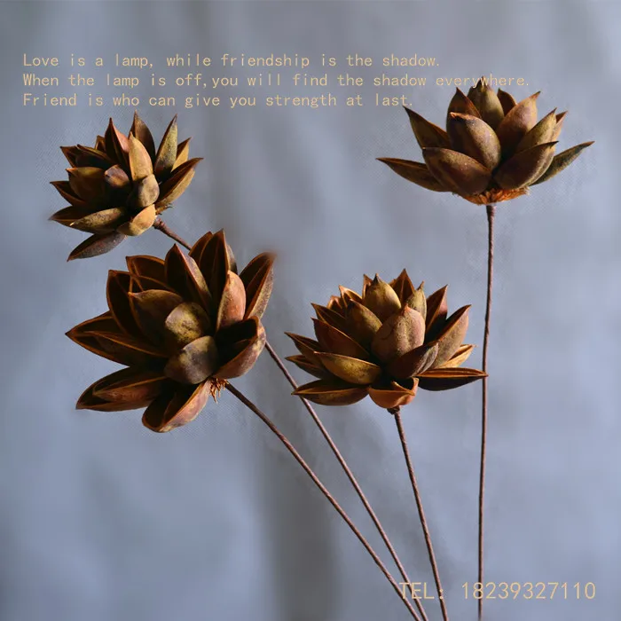 Искусственные цветы сухого лотоса искусственные букеты высушенных цветов