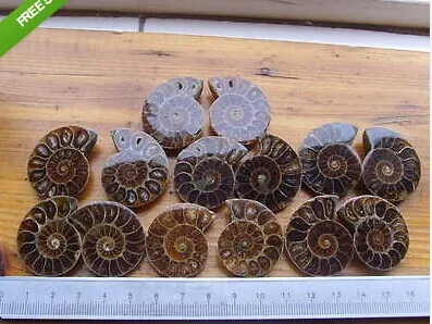 132 г 3 пары бразильские окаменелости переливающийся аммонит натуральные камни и