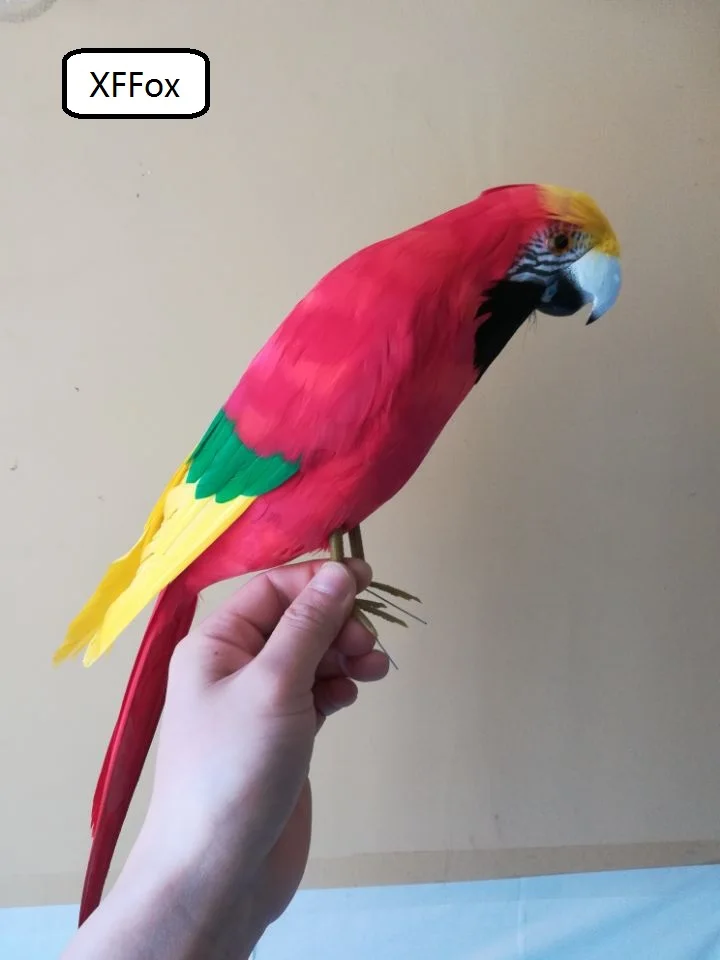 

new real life red&yellow parrot model foam&feather simulation parrot bird gift about 40cm xf0207
