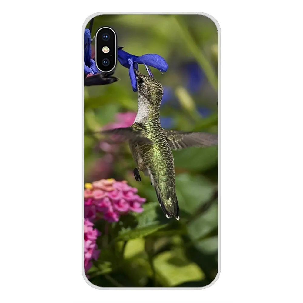 Аксессуары чехлы-накладки для Apple iPhone X XR XS MAX 4 4S 5 5S 5C SE 6 6S 7 8 Plus ipod touch с животными