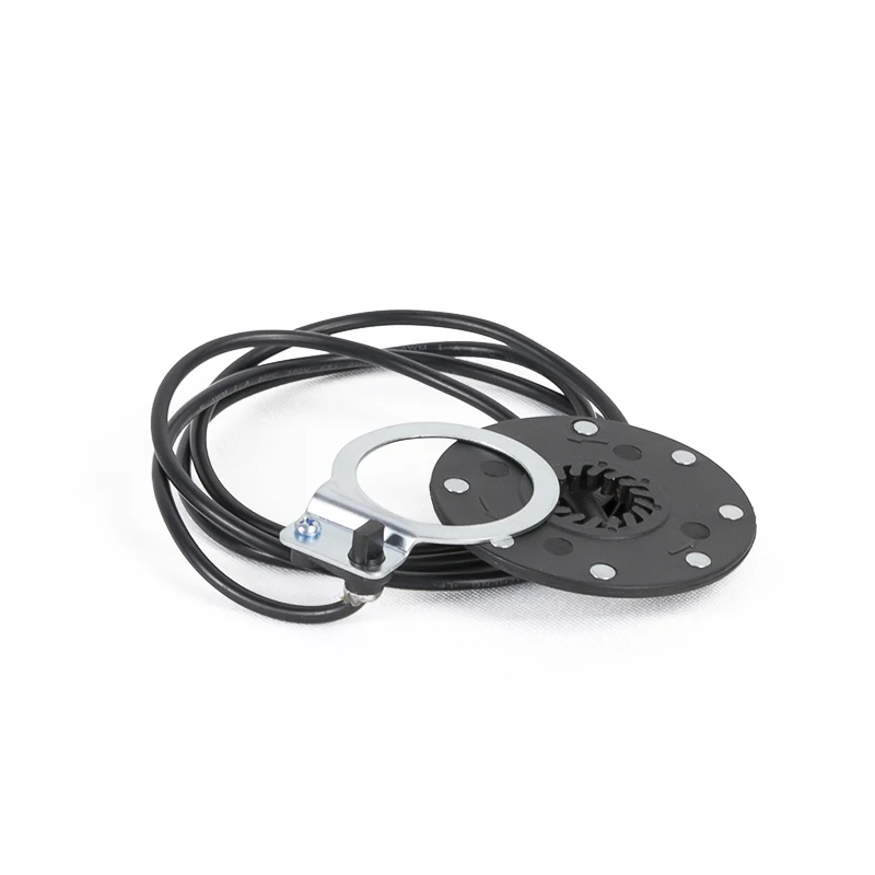 Bestellen MXUS XF08 250W Elektrische Fahrrad Conversion Kit 20 24 26 28 27,5 Zoll 700C Hinten Motor Rad Bicicleta Eletrica Mit Display