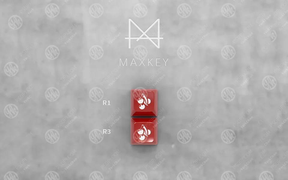 MAXKEY Portland SA keycaps Doubleshot ABS 129 клавиш для Механическая клавиатура cherry mx