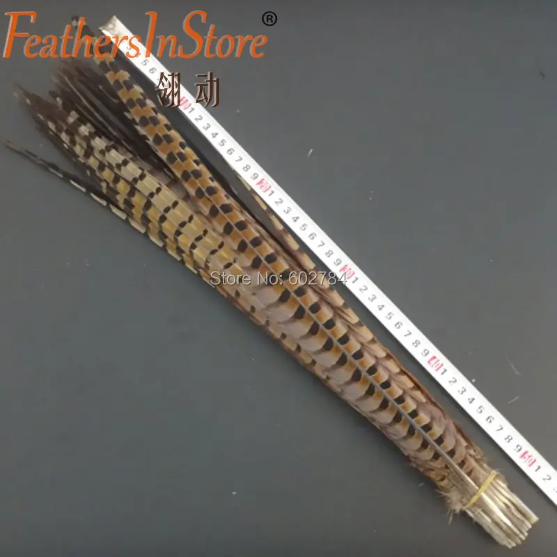 

Hot 100pcs Natural Ringneck pheasant tail feathers 50-55cm / 20-22 inches / Lady Amherst Pheasant tail pheasant feathers