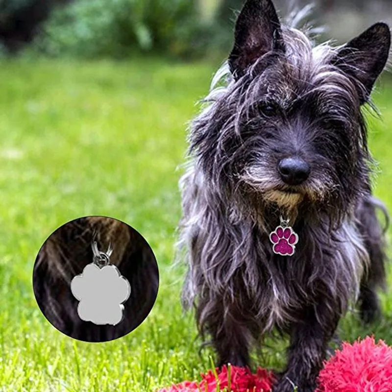 Прямая лапа Форма Собака ID Выгравированная собака кличка s Pet Воротник Подвеска выгравированное имя и номер телефона
