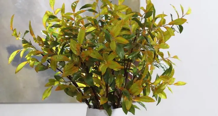 10 шт. зеленый моделирования завод растения оптовая продажа высокого качества