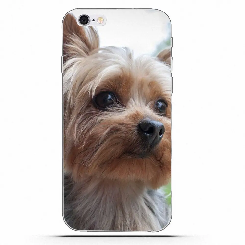 Чехлы для HTC Desire 530 626 628 630 816 820 One A9 M7 M8 M9 M10 E9 Plus U11 Moto G G2 G3 щенок йоркширского терьера