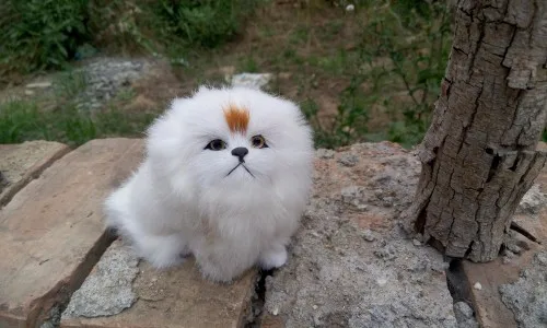 

Маленькая милая игрушка для собаки из полиэтилена и меха Сидящая Модель самоида подарок около 12x14 см 1837