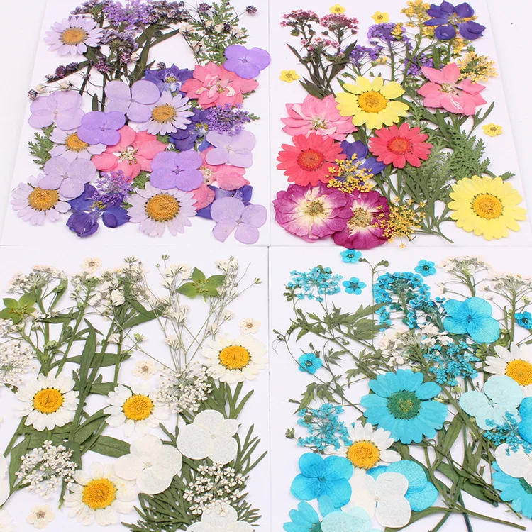 

1pcs Portable Collection DIY Art Floral Decors Nice Gift Organic 1 Bag Pressed Flowers Natural Dried Flowers Mixed Colors