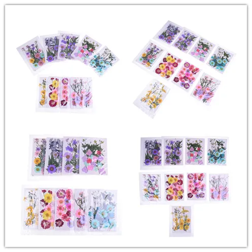 Несколько красивых прессованных цветов Сушеные художественные цветы для