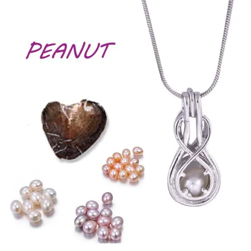 1 комплект Модные посеребренные ювелирные изделия жемчужная клетка подвеска 2